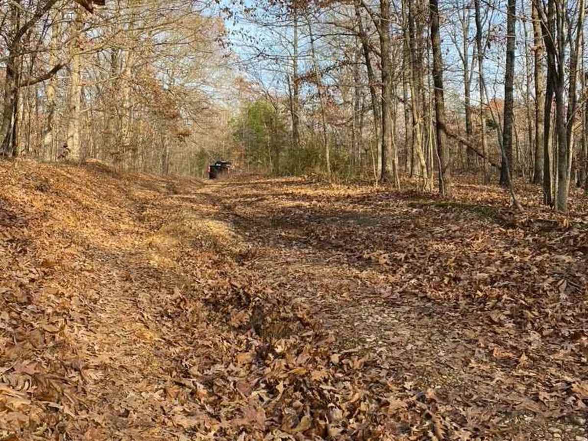 Armadillo Hill FSR 127A photo 5