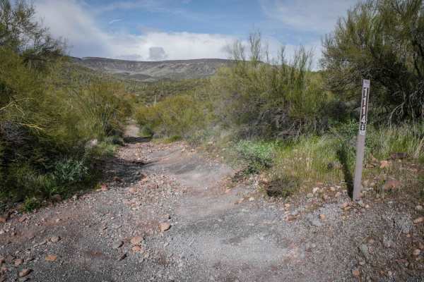 Shoemaker Spring