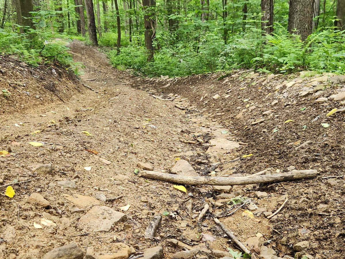 Trail 2 - Black - Rock Run Recreation Area photo 4