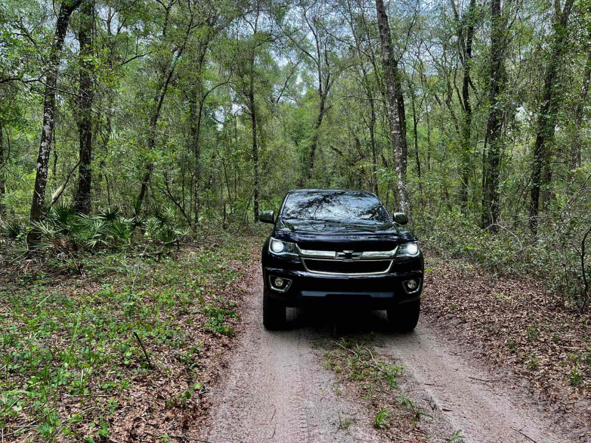 Crooms Wildlife Management | Trail 9 photo 3