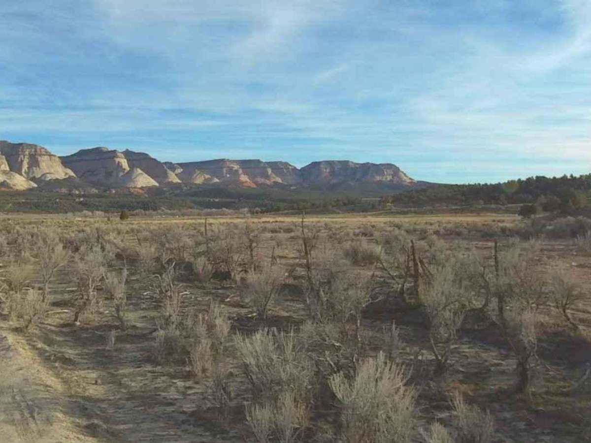 Deer Hollow-K2155 photo 6