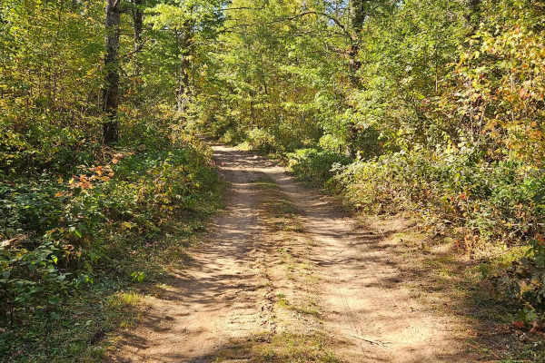 Sandy Summit Trail