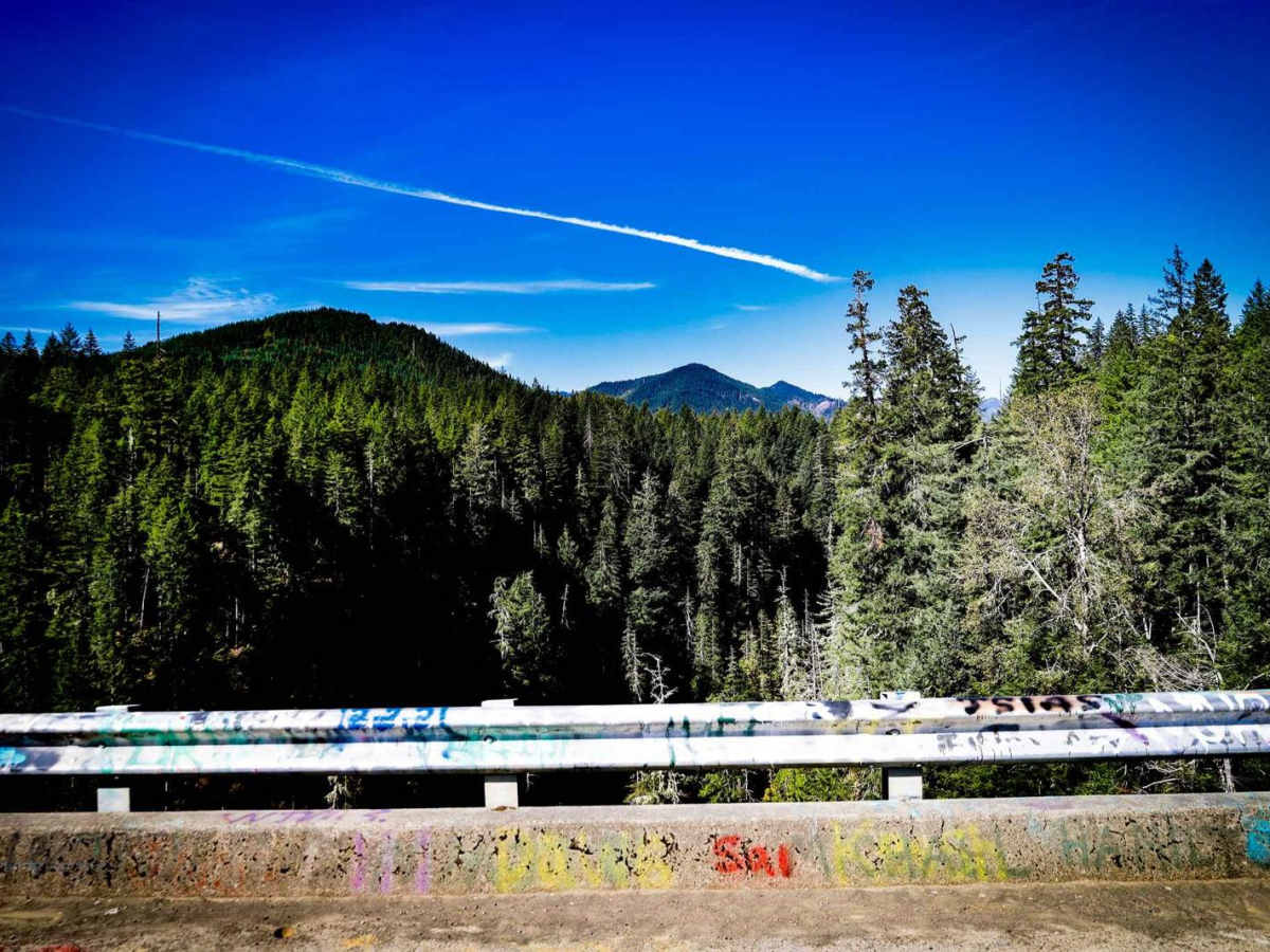 FS2340 to High Steel Bridge trail photo