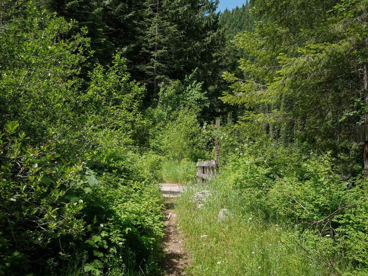 Weitas Creek trail photo