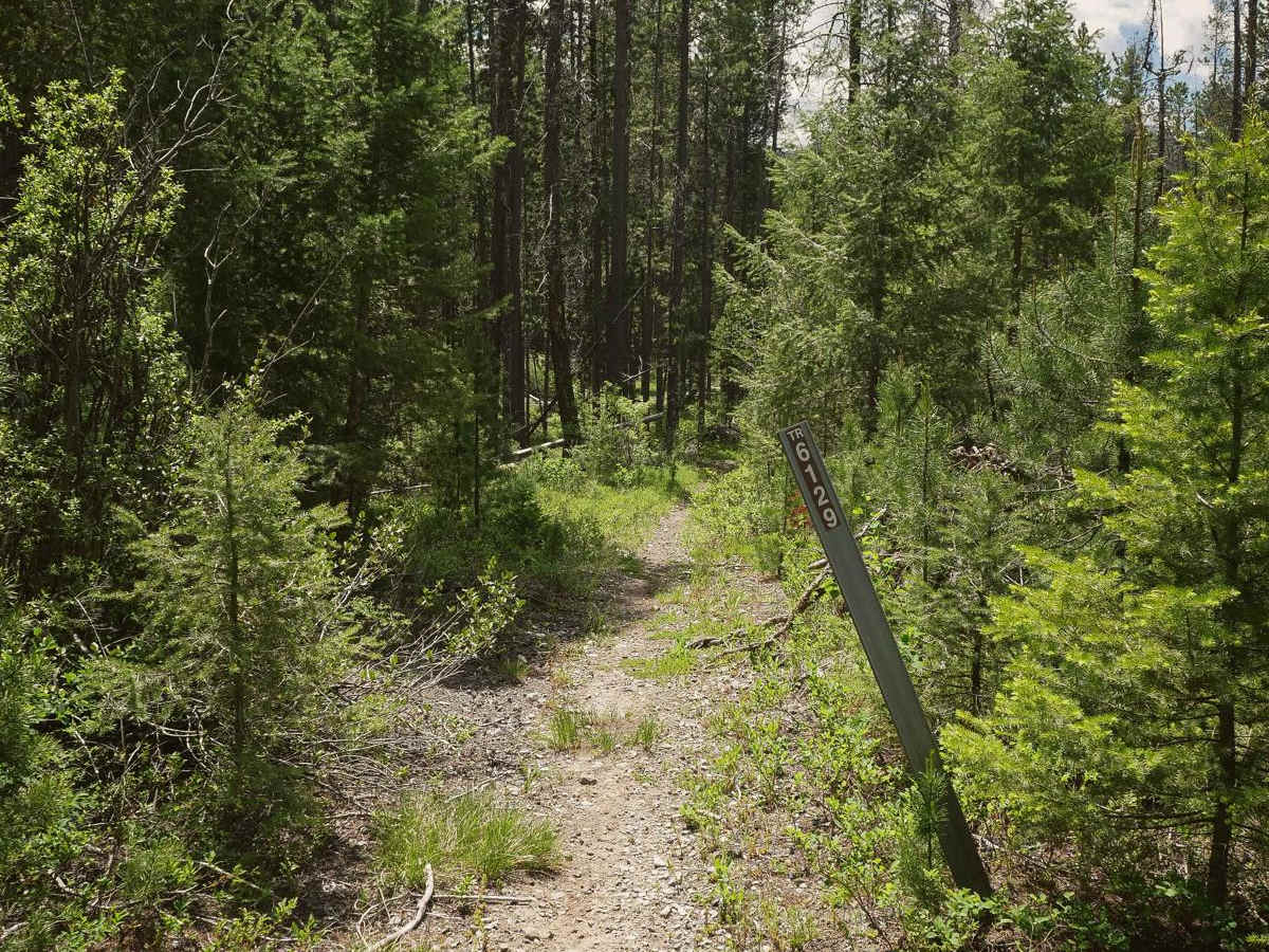 South Fork Sheep Creek trail photo