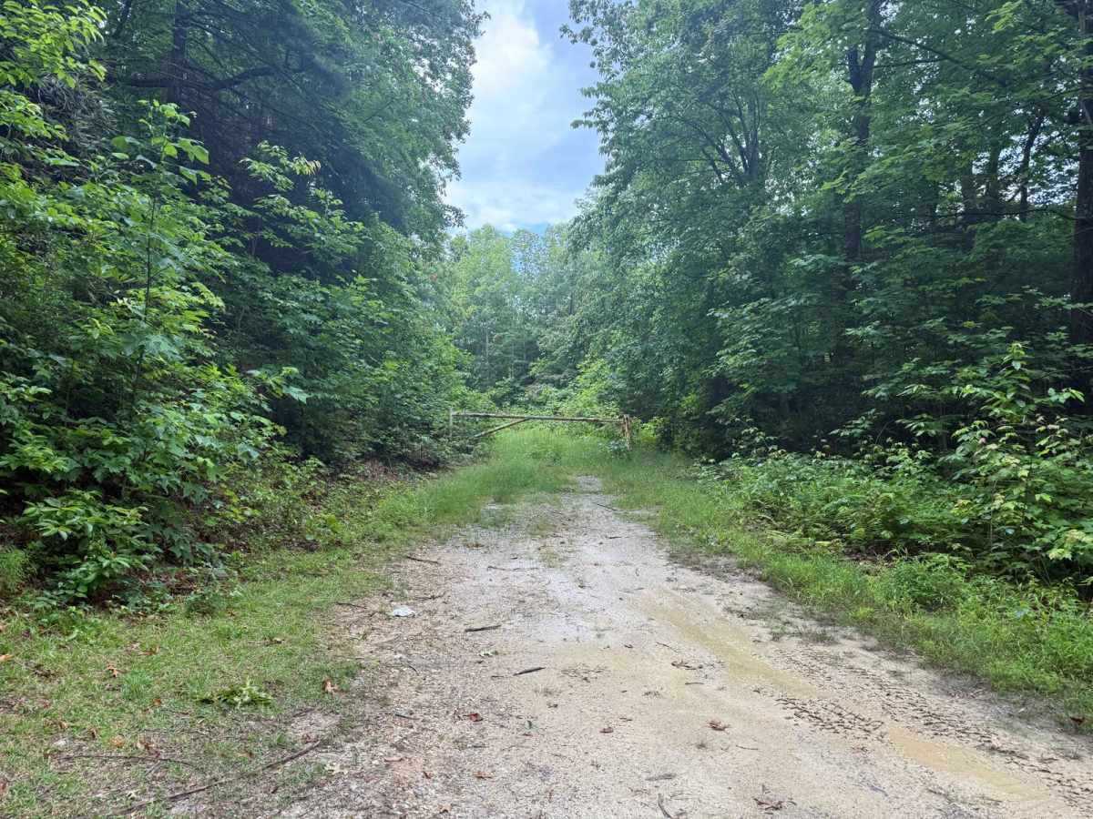 Watauga Turnpike - FS 45 photo 2