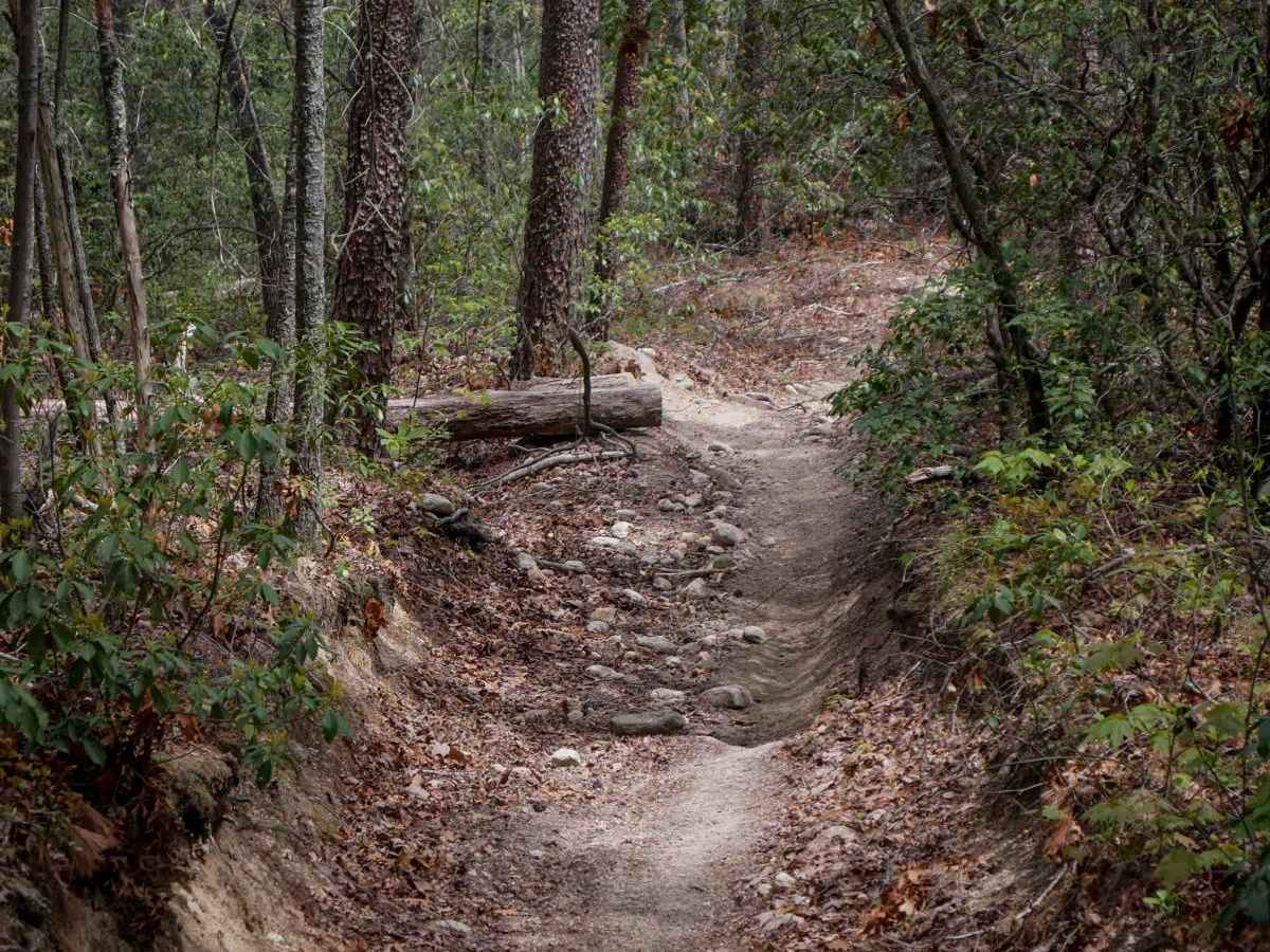 Trail 3 Sullivan's Pass photo 5
