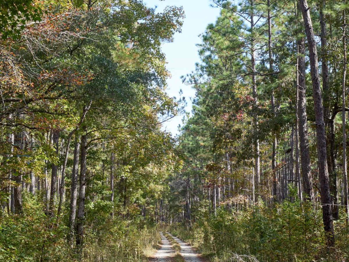 Coordesville - FSR 130 photo 5