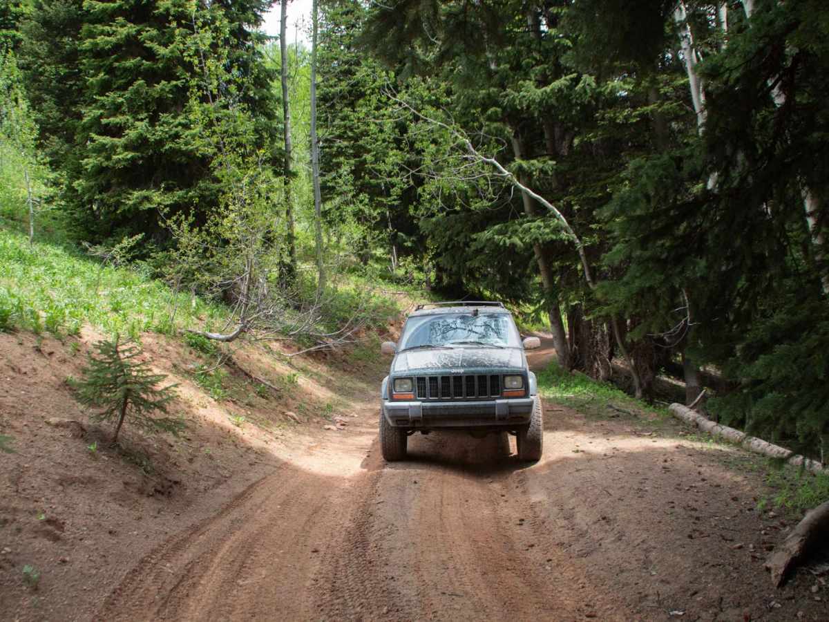 6 Bit Springs Road photo 4