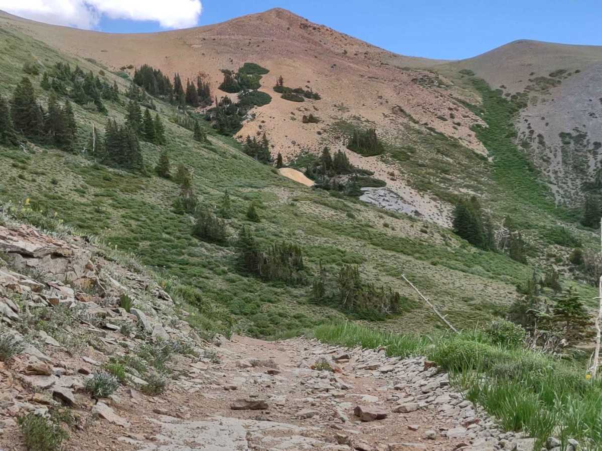 Revenue Gulch Cottonwood (72) photo 4