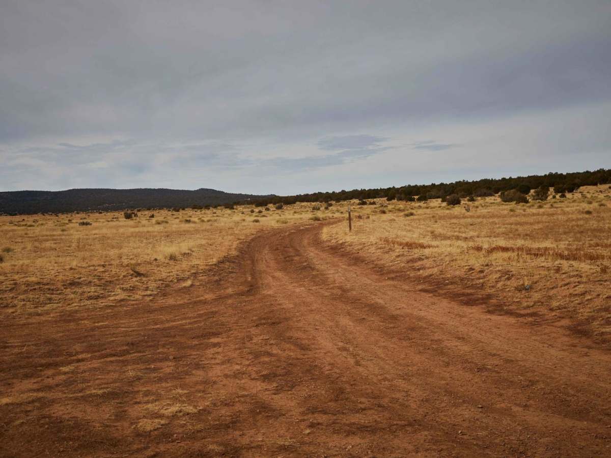 Cole Campbell trail photo