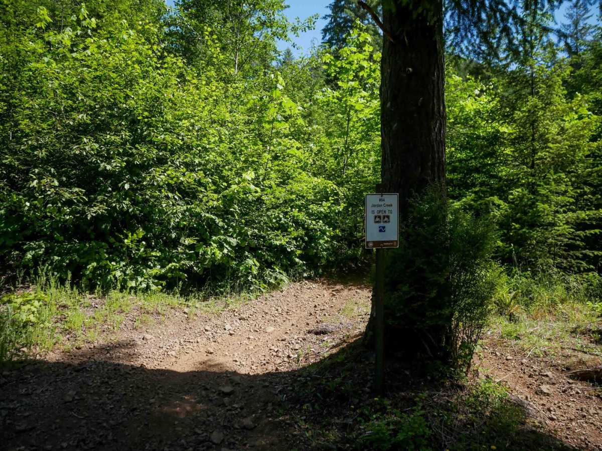 Jordan Creek #84 (Part 1) photo 2