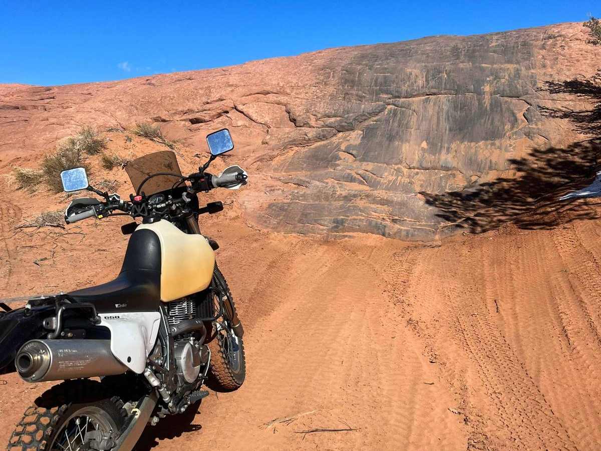 Fins n Things (First Half) trail photo