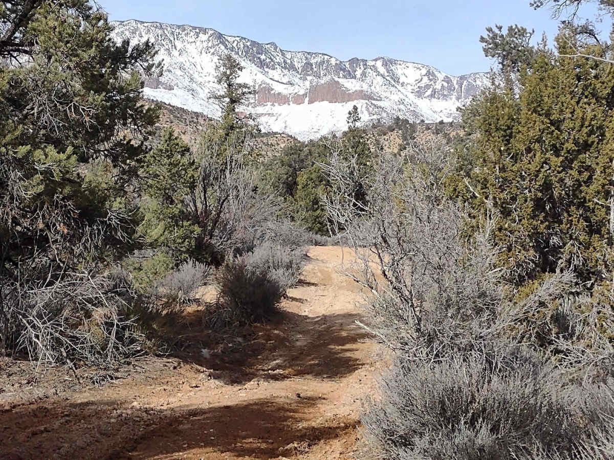 Leeds Cr-Cottonwood North Spur #30903 trail photo