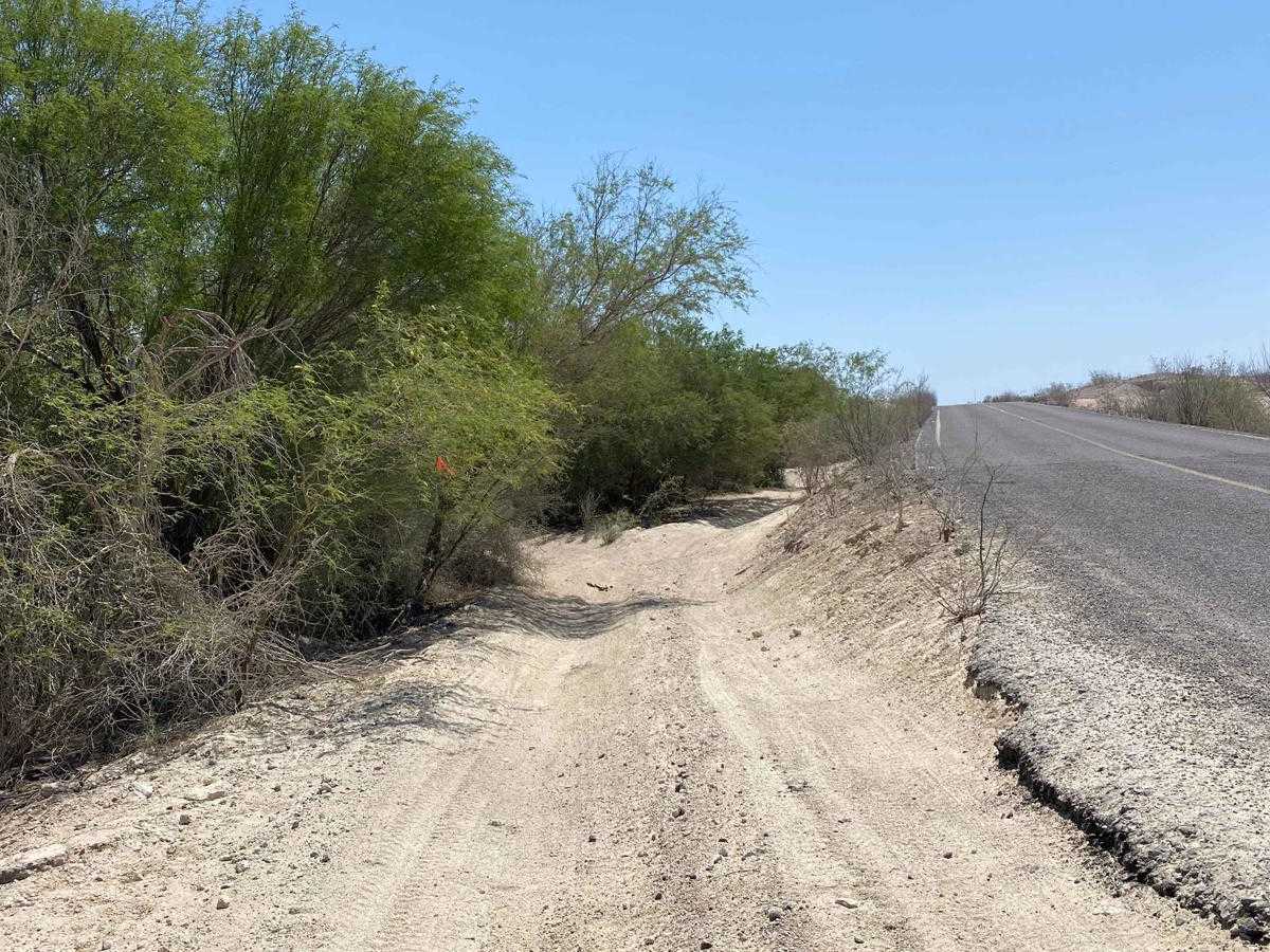 Santa Rita Loop trail photo
