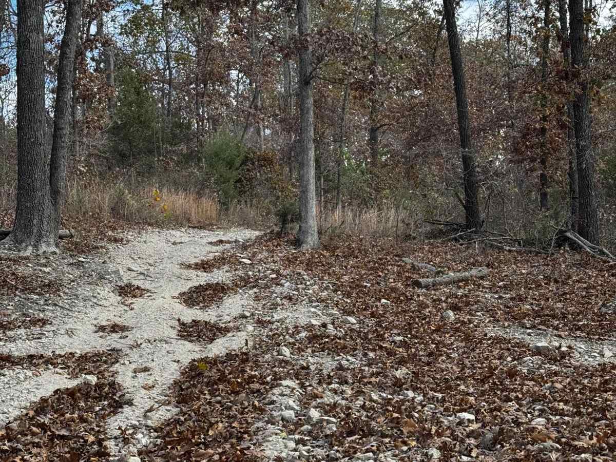 Cabin Access Trail photo 3