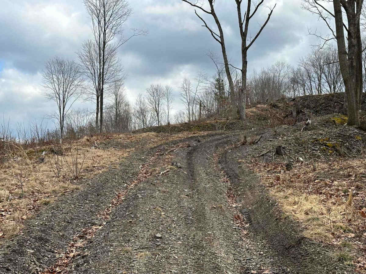 Ashland 67 photo 5