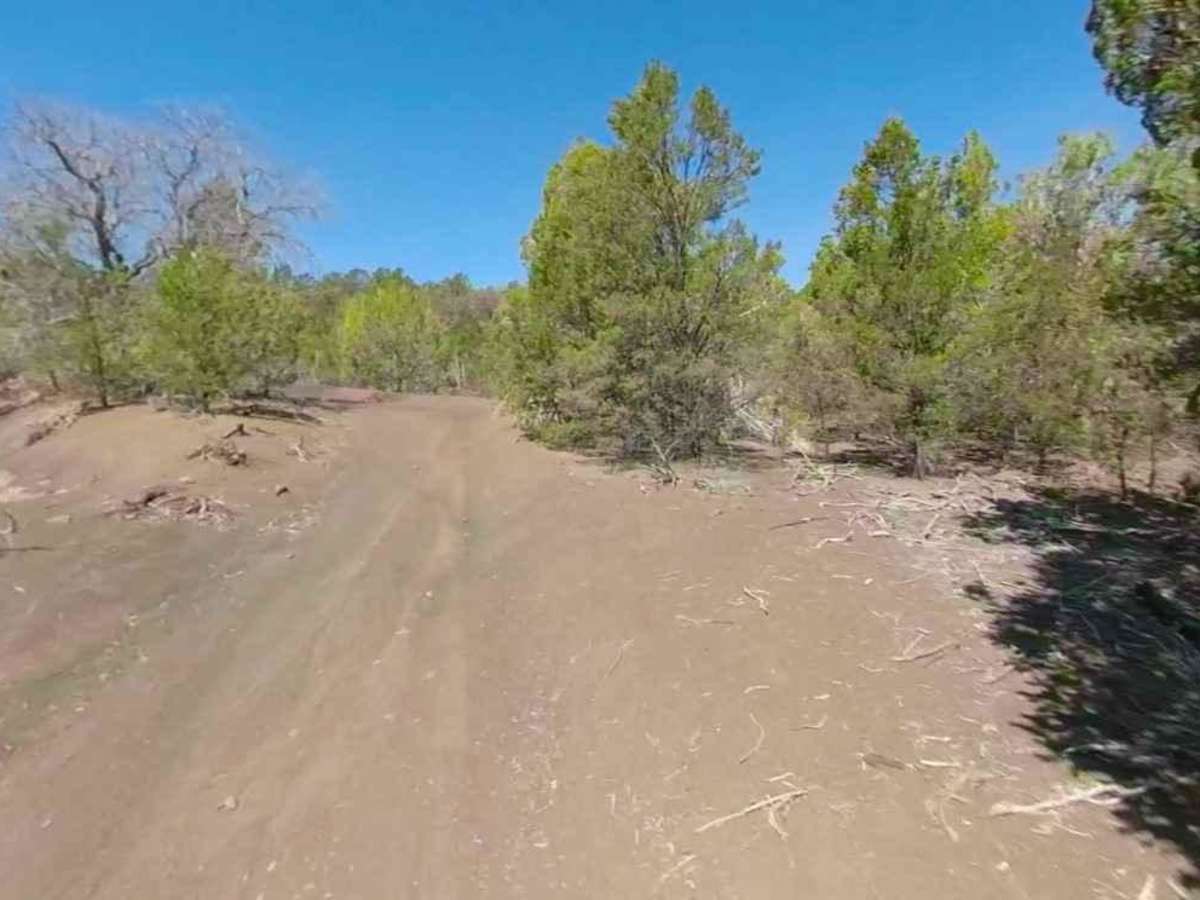 Little Oak Spring Road BLM 1029 photo 3