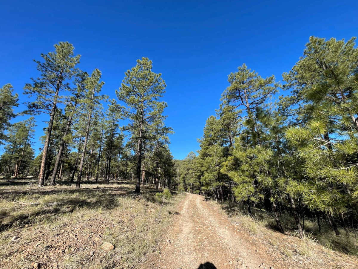 Apache Peak Road photo 3