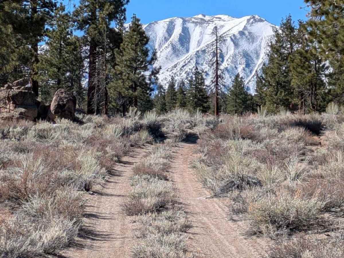Round Mountain Turnoff - FS 3S54 trail photo
