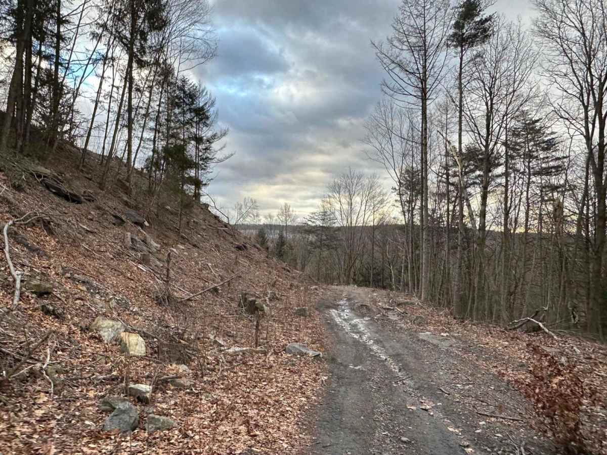 Ashland 184 photo 5