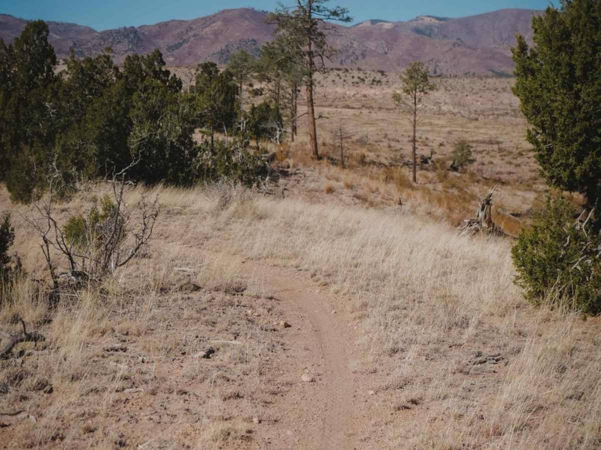 Beanfield Ridge photo 2