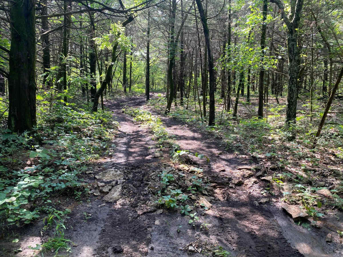 Path Finder photo 5