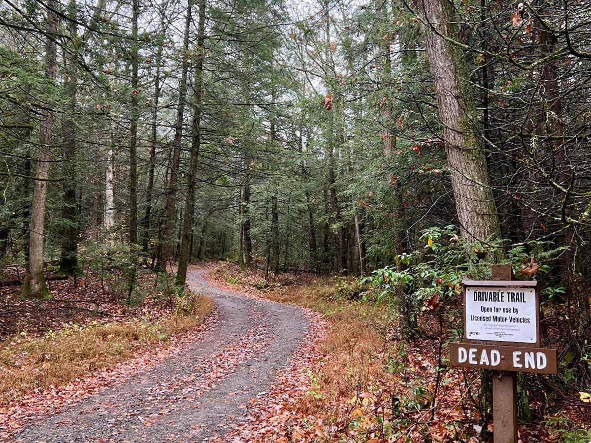 Pepper Run Road trail photo