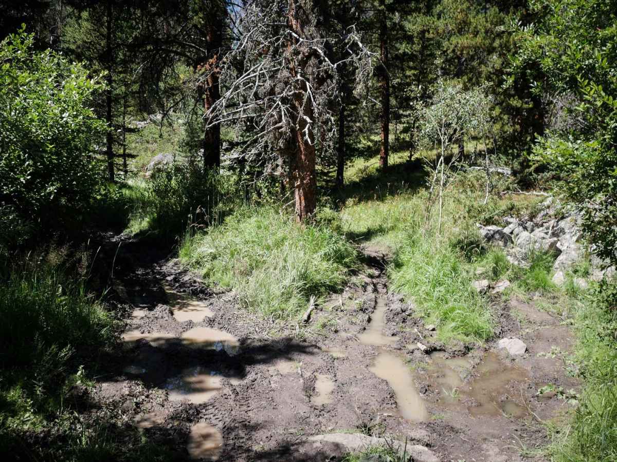 Cinnamon Trail photo 4