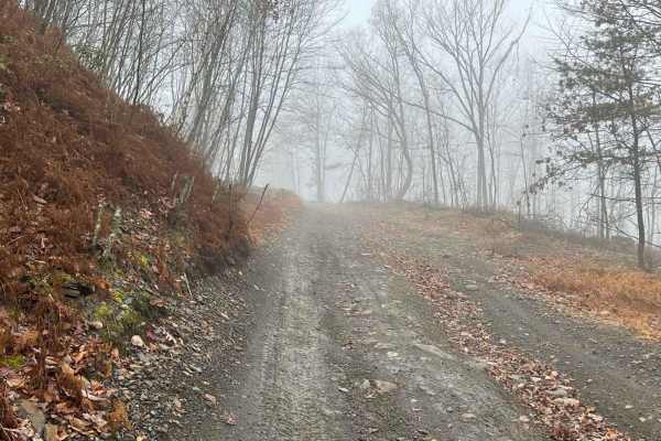 Hill Island Road to Paradise Connector
