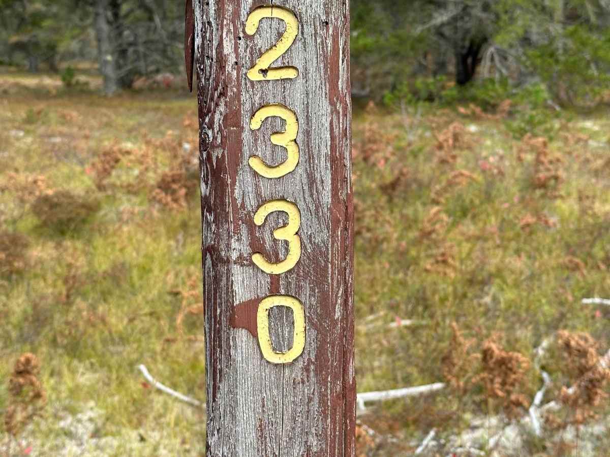 FS 2330 trail photo