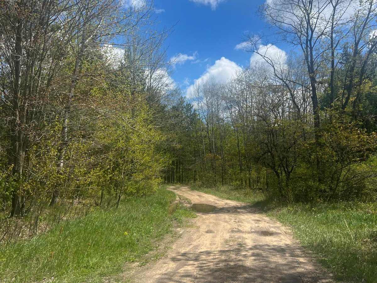 Fish Hook Trail photo 3