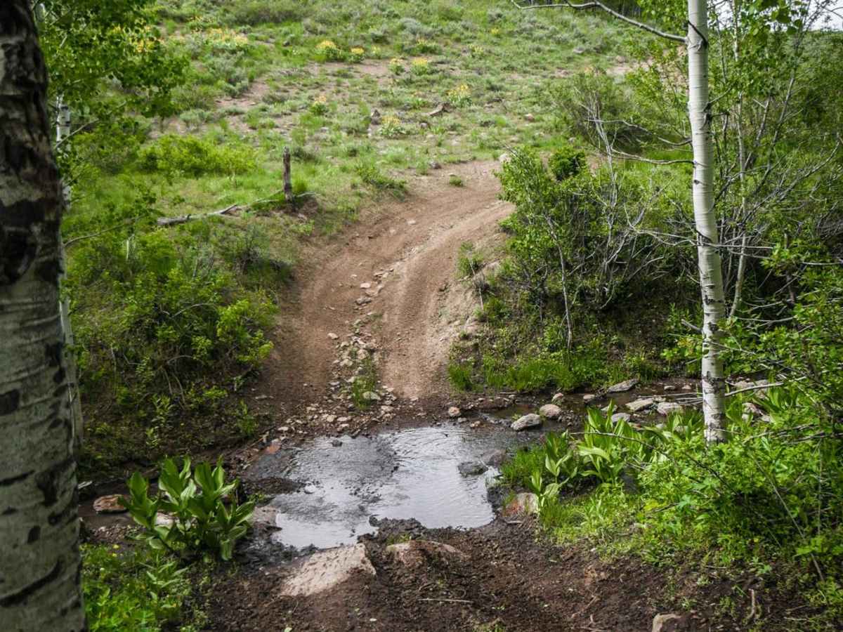 Electric Spring ATV photo 4