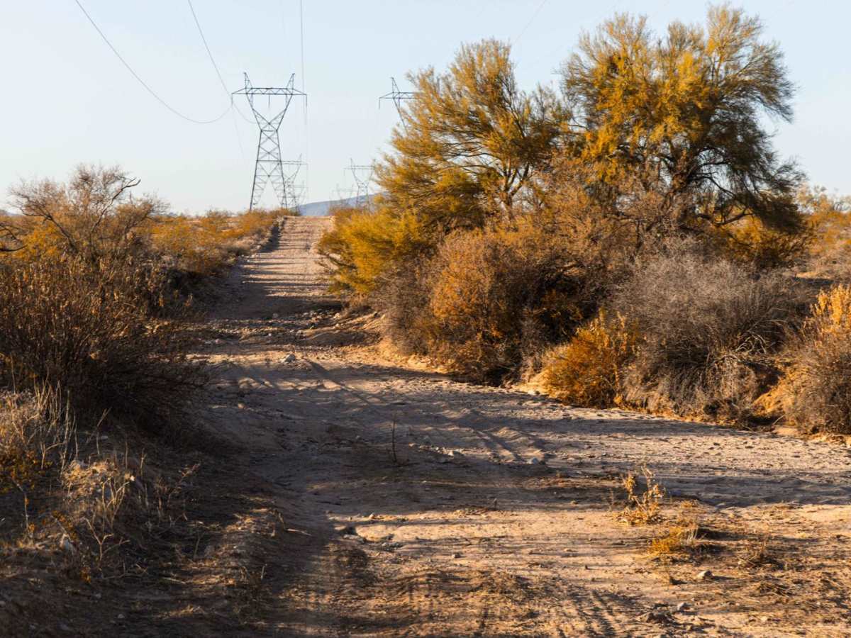Electric Corridor photo 6