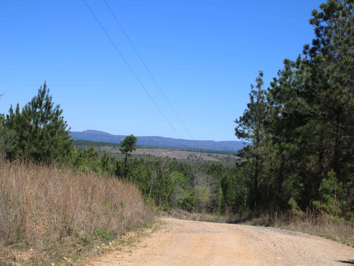 Howard County WMA To Highway 278 trail photo