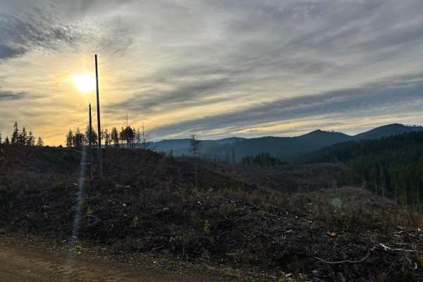 NoFo Road