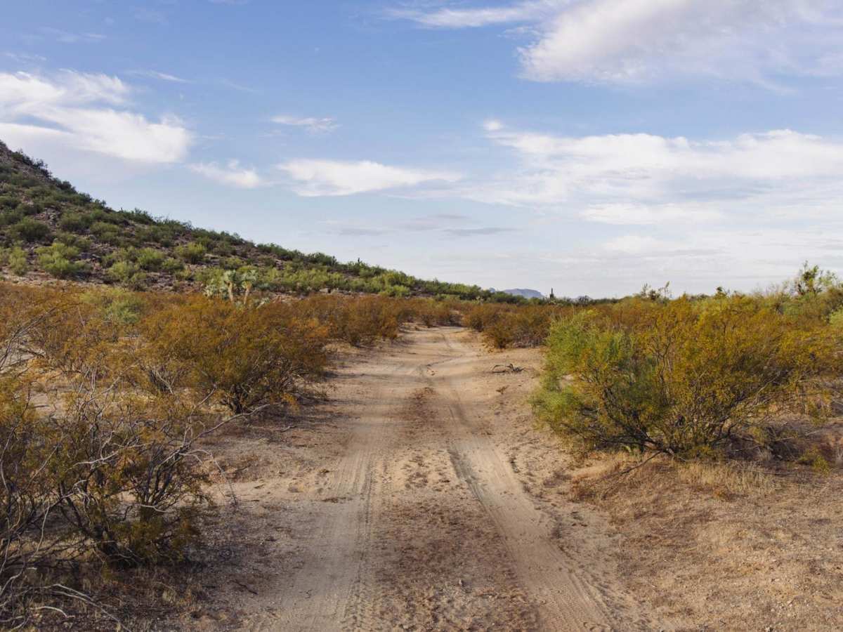 Jam Ranch Cutthrough photo 6