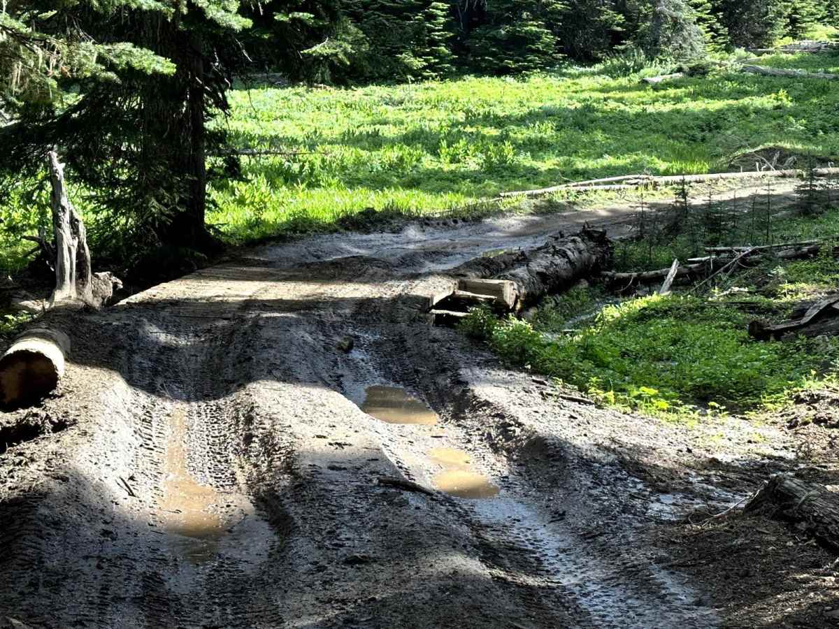Milk Creek 4WD Trail trail photo