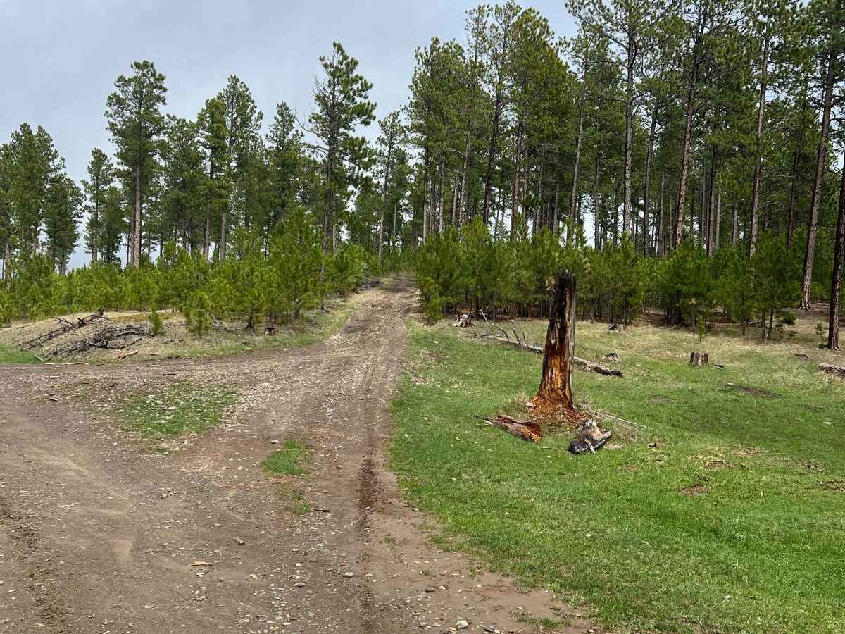 East Gimlet Trail photo 6