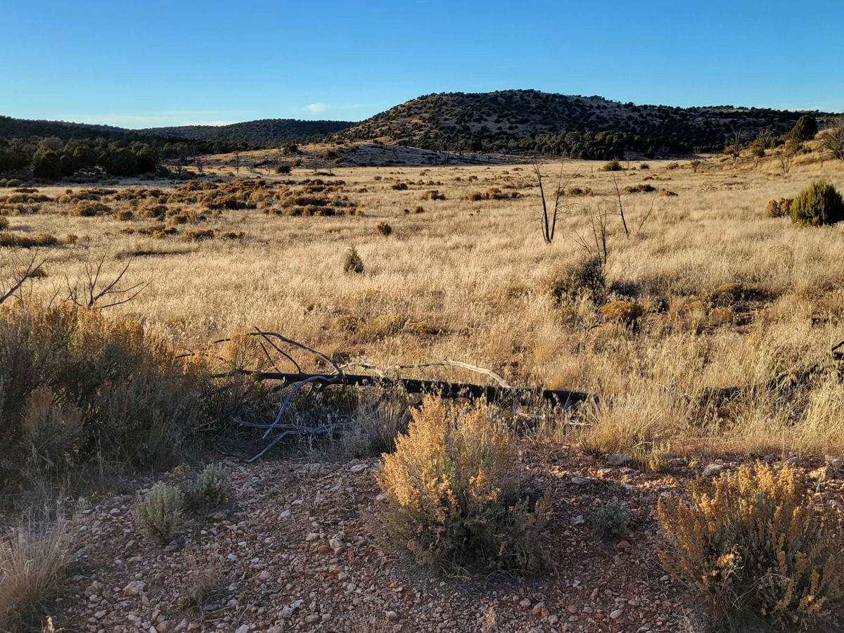 BLM 1059a photo 4