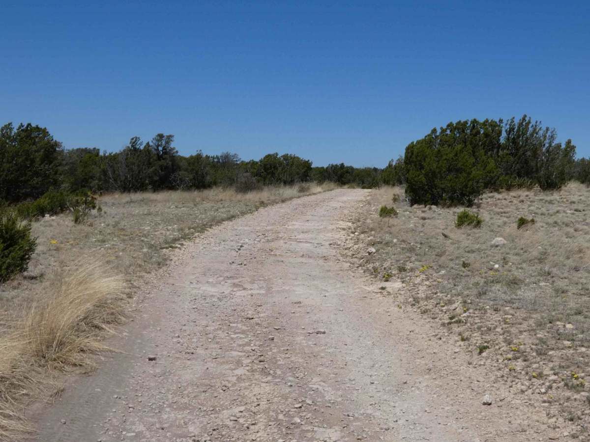 Horse Pasture photo 2