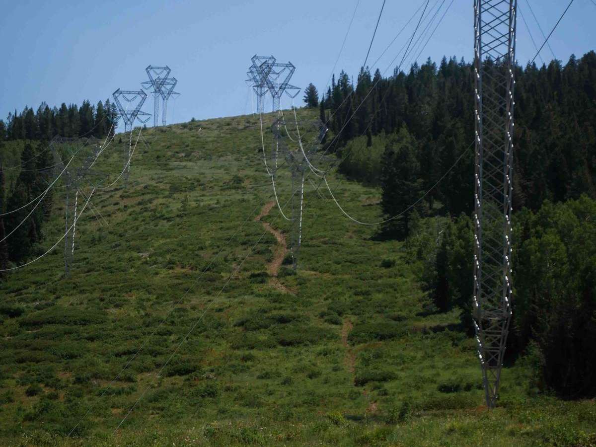 Bear Wallow #3442 photo 2