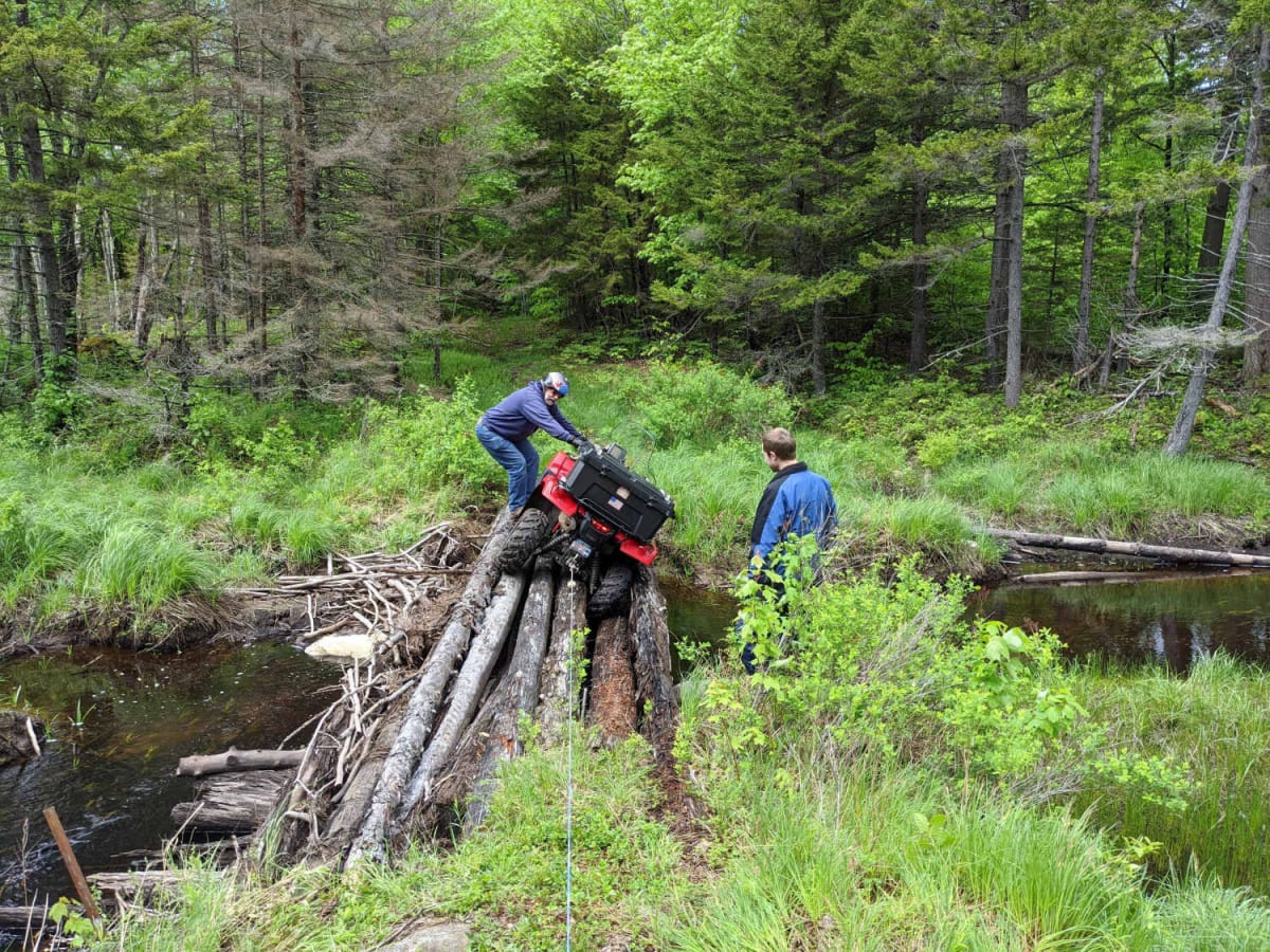 Blue Pond Connector photo 3