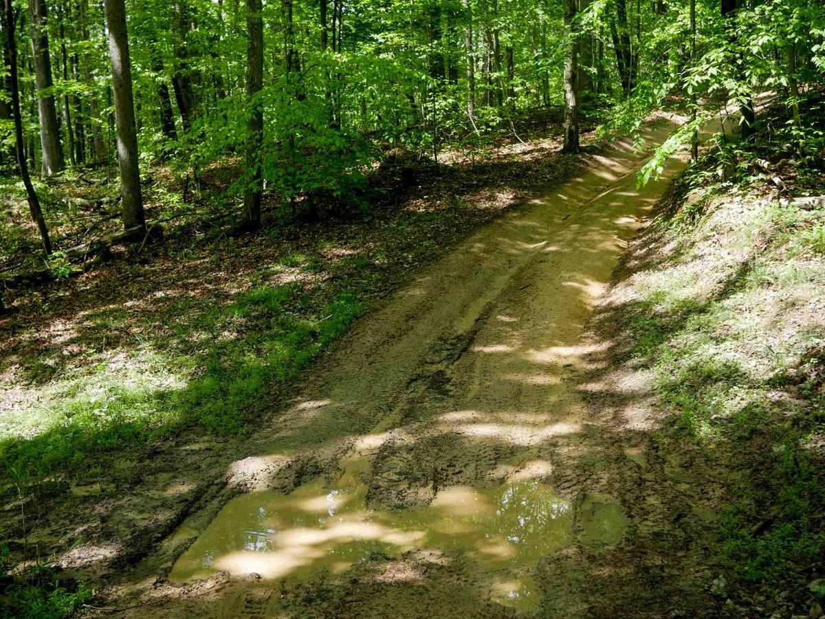 Trail 4 photo 5