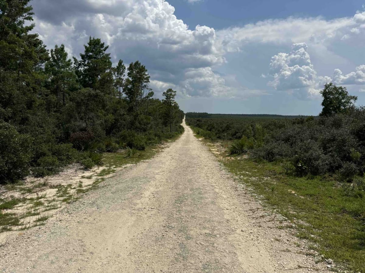 Green Bear Hole / Lam Horse Trail / ONF 17 photo 3