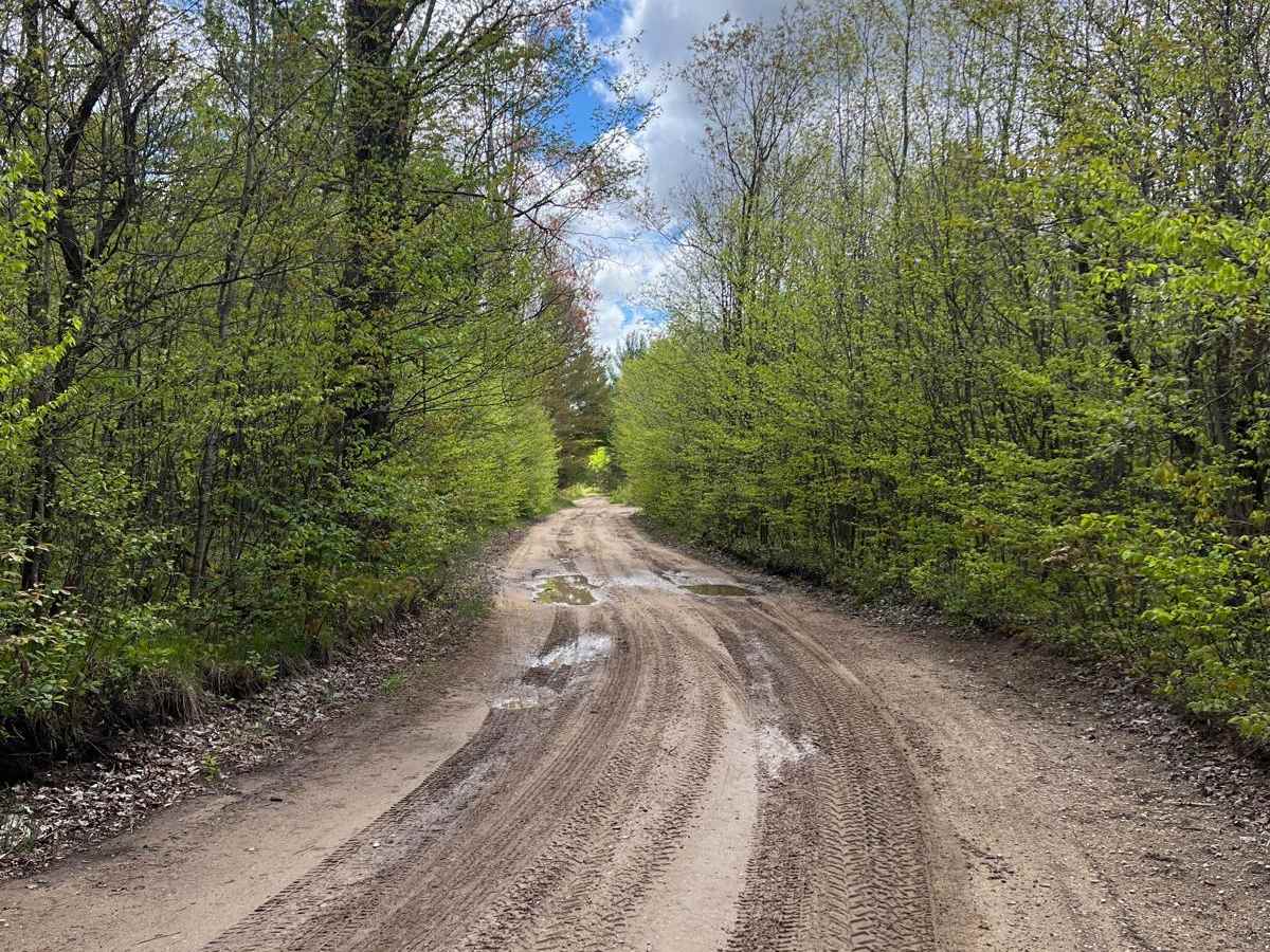 High Rollway River Loop Trail photo 3