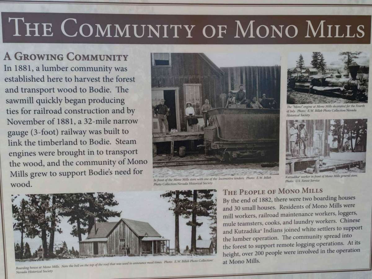 Mono Mills Loop photo 3