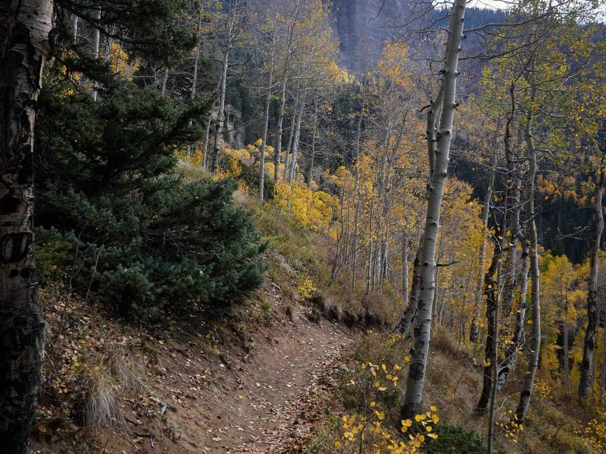 Nate Creek trail photo