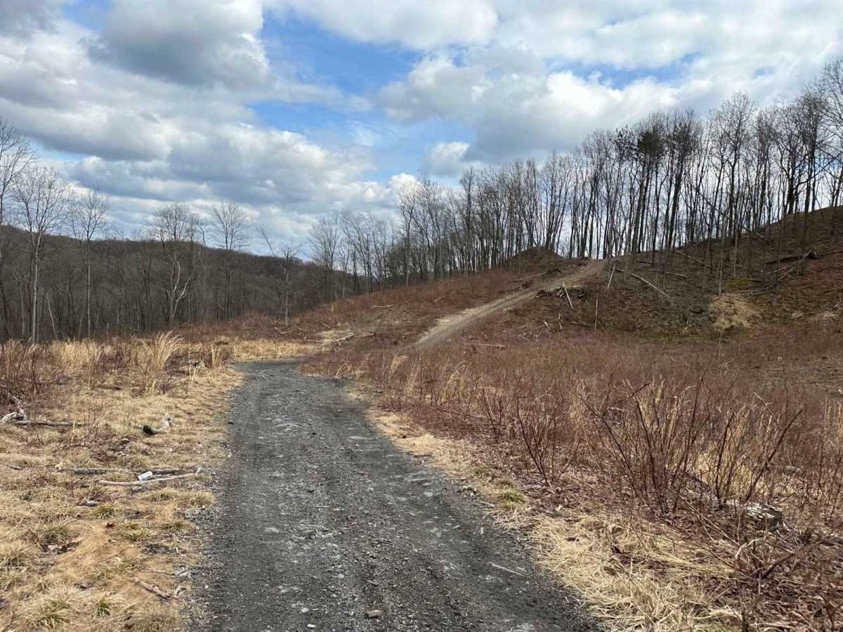 Ashland 62 photo 3