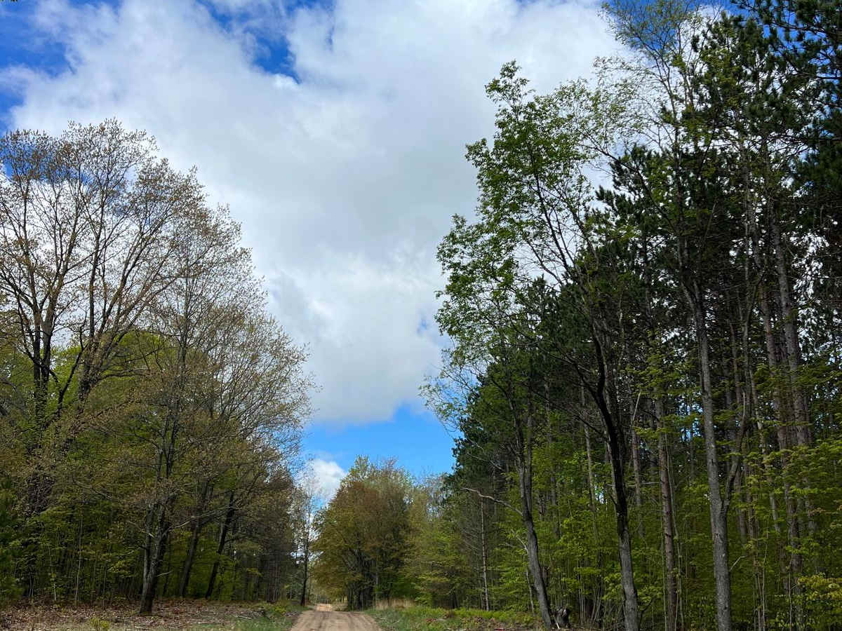 6 Trail photo 4